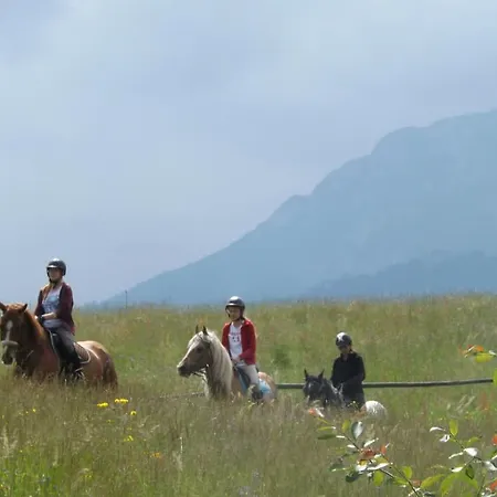 Farm stay Ranczo W Dolinie