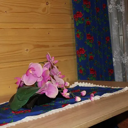 Farm stay Ranczo W Dolinie Koscielisko