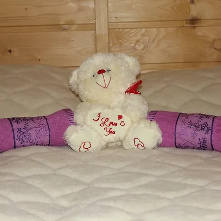 Ranczo W Dolinie Farm stay Koscielisko